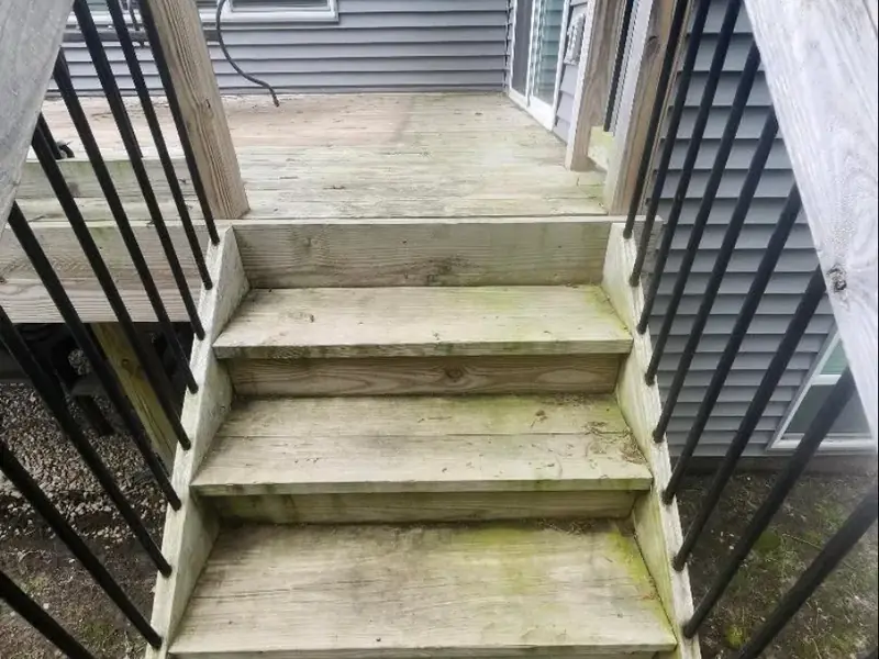 Same wooden stairs covered in green mould before cleaning